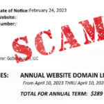 Domain Networks scam